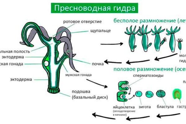 Как зарегистрироваться на сайте кракен