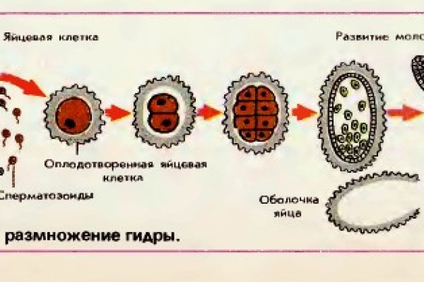 Кракен маркетплейс про