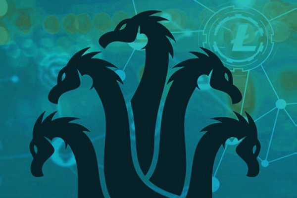 Kraken 17 at net